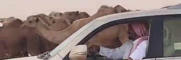 فايز بن سعود بن دهيمان banner