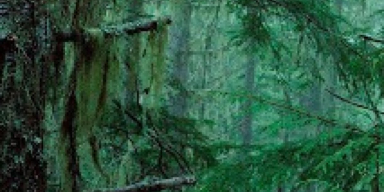 ana_oni_'s profile banner image