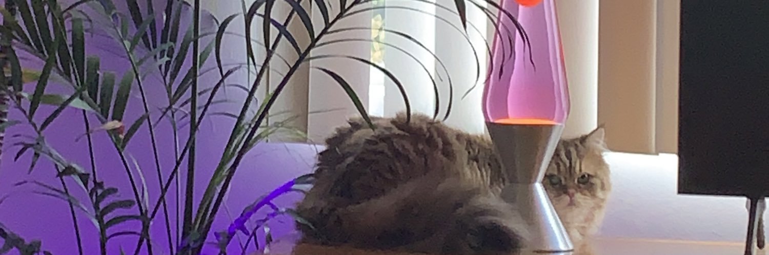 janeeadamss's profile banner image