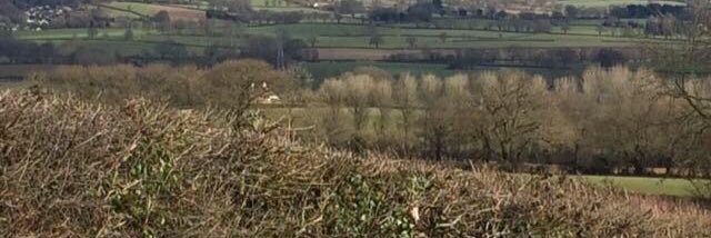 Clyst Hydon Huff banner