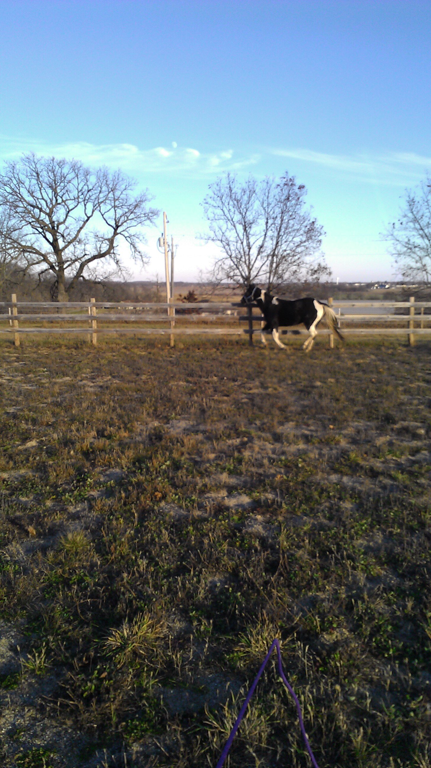 HaleyHyames's profile banner image