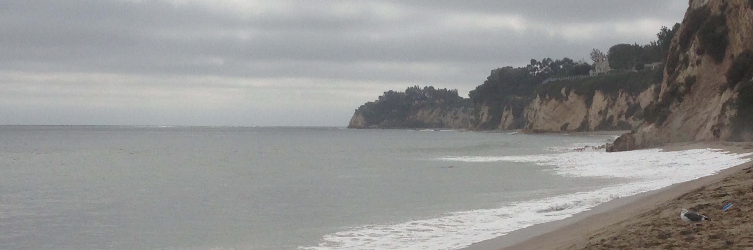 CastleWealthAdvisors banner