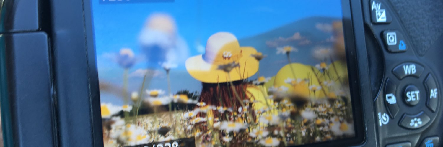veganolun's profile banner image