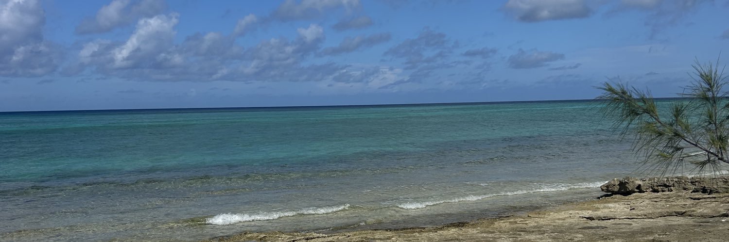 Amanda Hefner banner