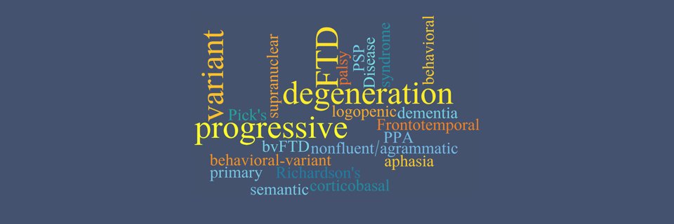 FTD Registry's banner