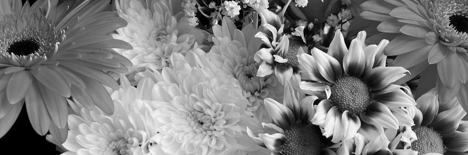 sula_kX's profile banner image