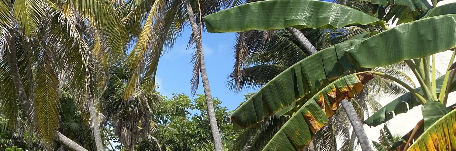 halimabean1's profile banner image