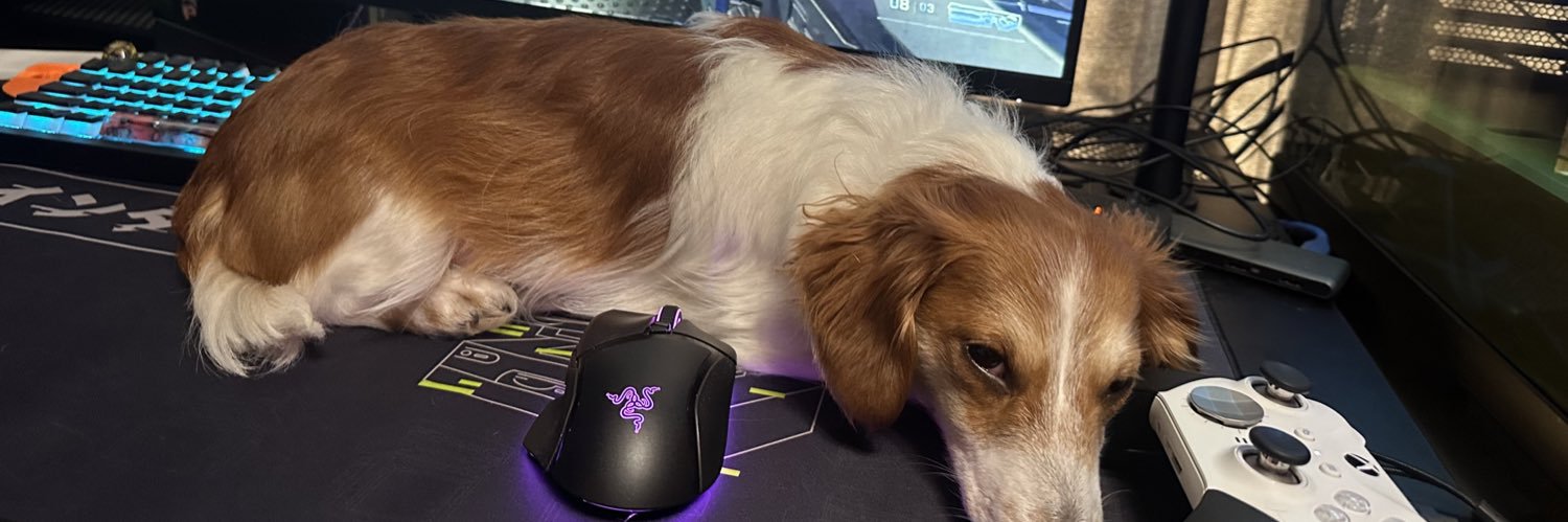 iWeazly's profile banner image