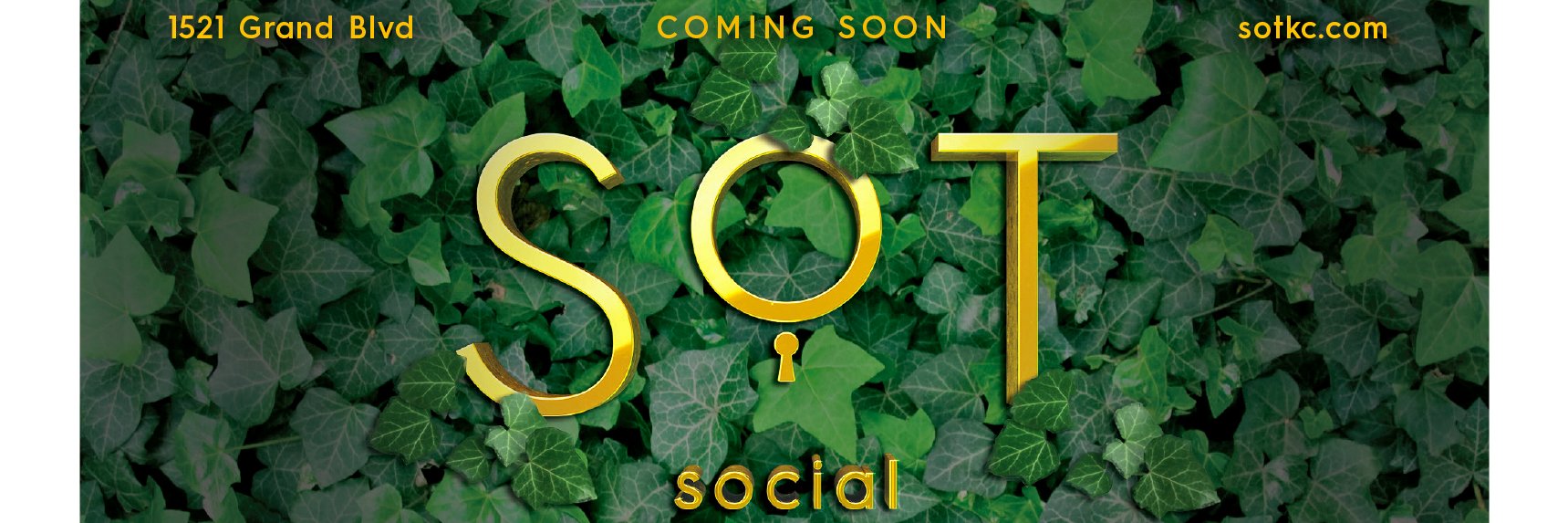 SoT banner