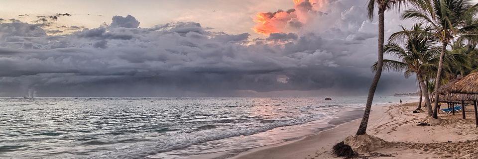 Muriel Gladney banner