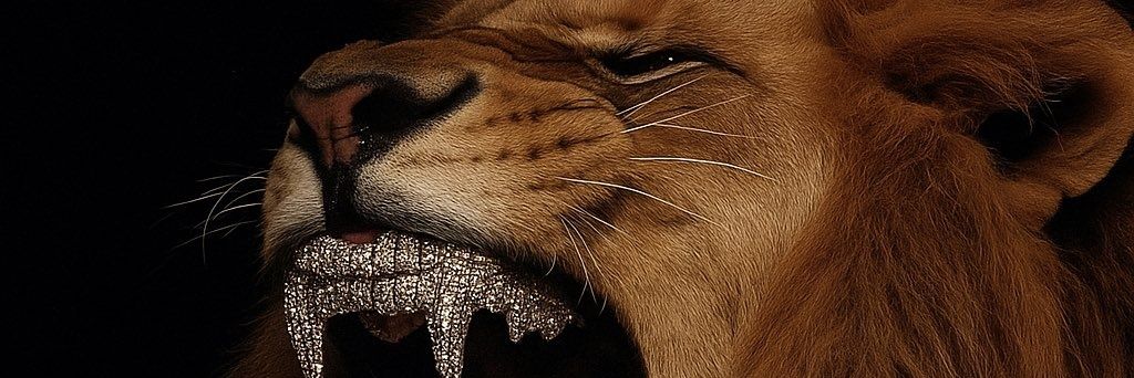 LeoDeniro's profile banner image