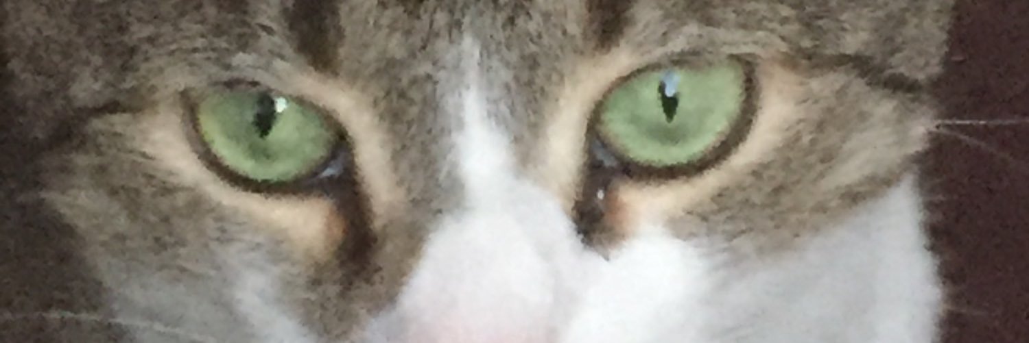 derek aldrich banner