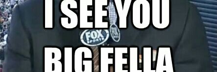 ChicknLtigerFan's profile banner image