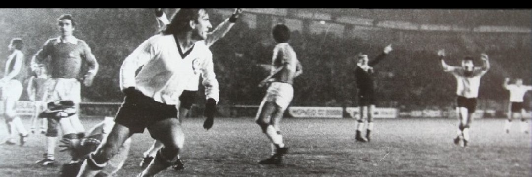 Robin Woods banner