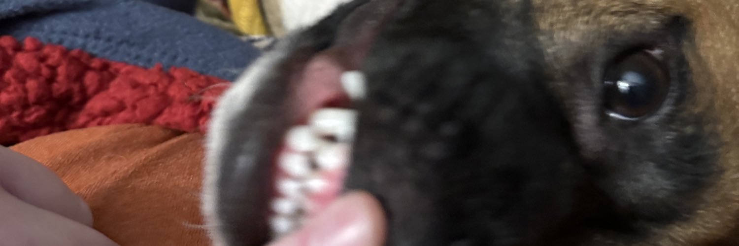 t banner