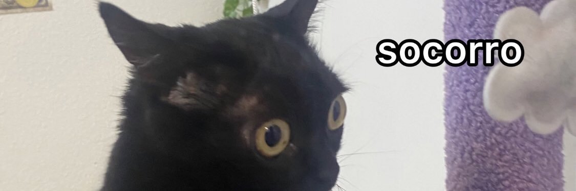 renata22237's profile banner image