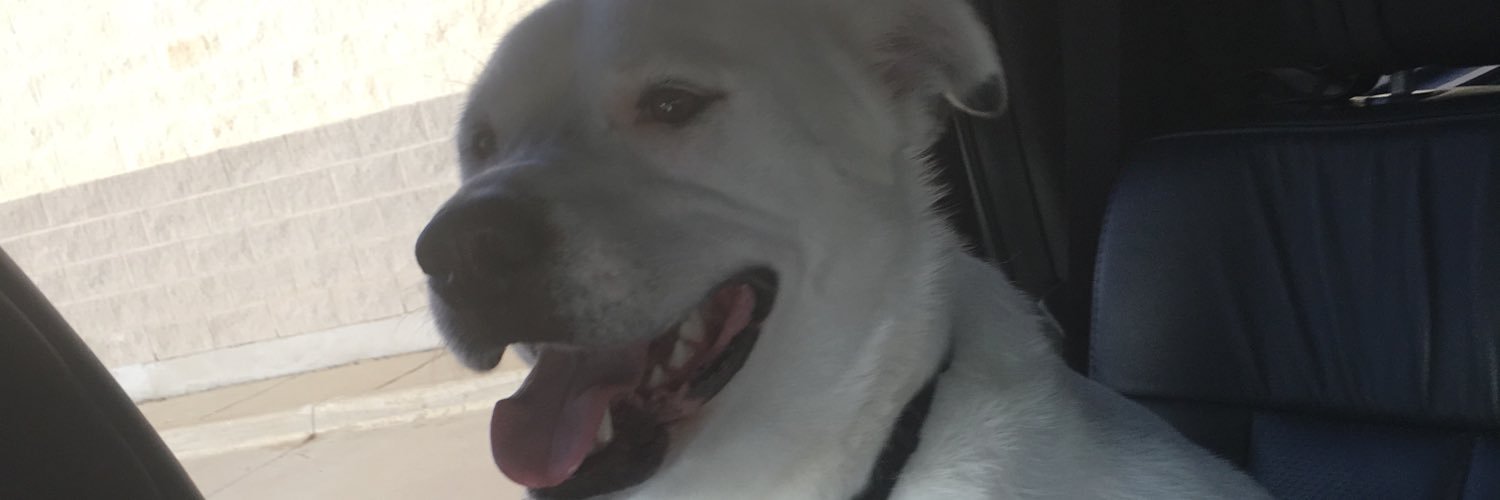 tifinil's profile banner image