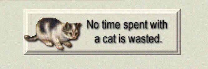 is that keri? banner