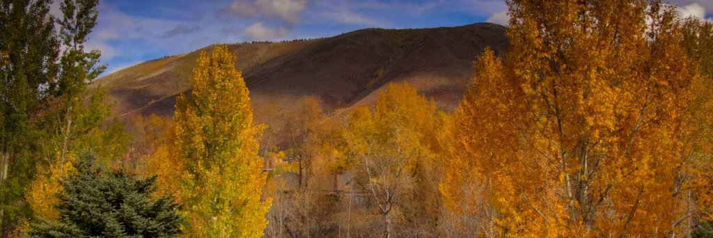 USUExtForestry's profile banner image