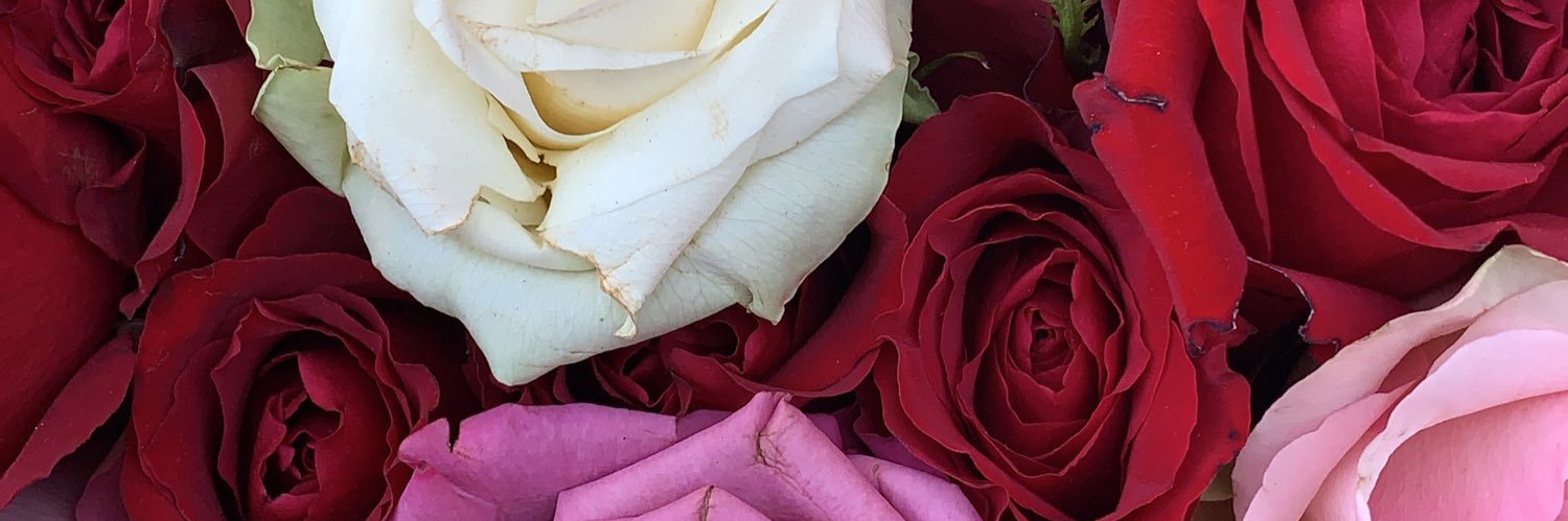 sg__96's profile banner image