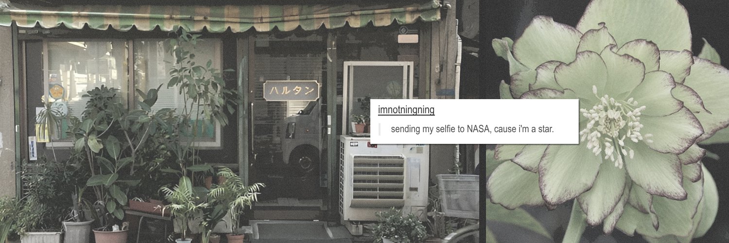 niingyies's profile banner image