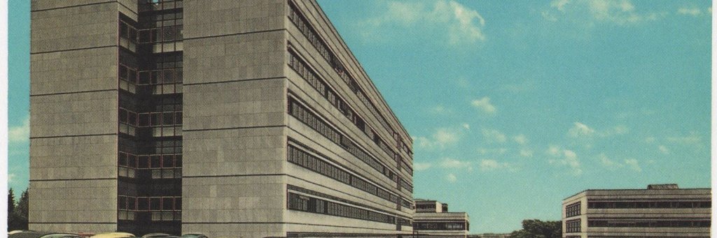 Dan Thomas banner