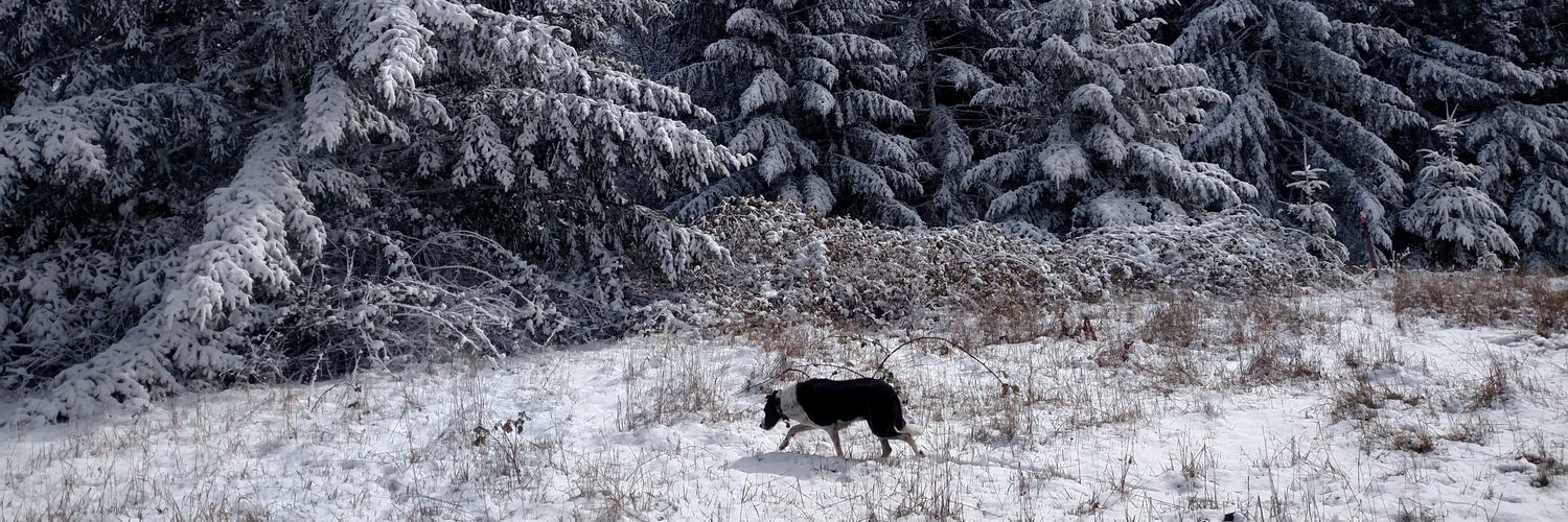 Jen Moore Kucera banner