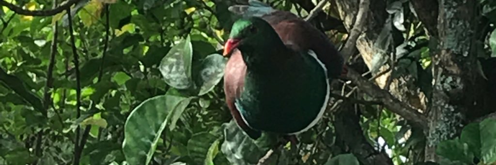 MamaGreen to the Cherubs, Laura to the rest of you banner