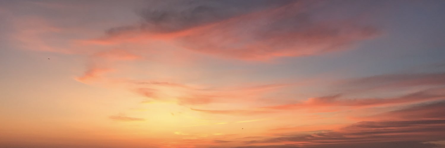 aly_fen's profile banner image
