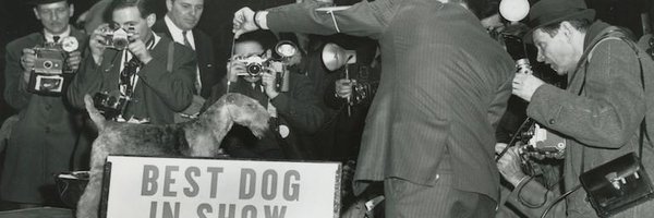 doughertysdogs Profile Banner
