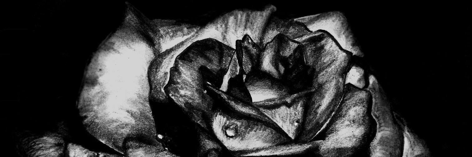 EternalFall4's profile banner image
