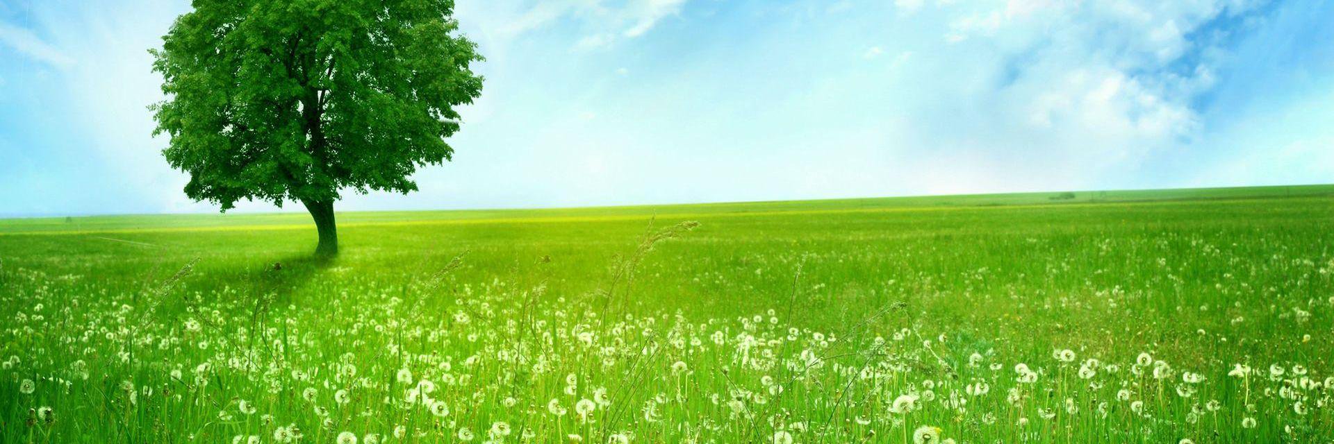 jaiyeeta's profile banner image