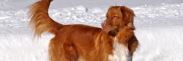 BermanFirsties Profile Banner