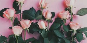 RirinAyub's profile banner image