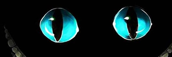 DatB3Ant's profile banner image