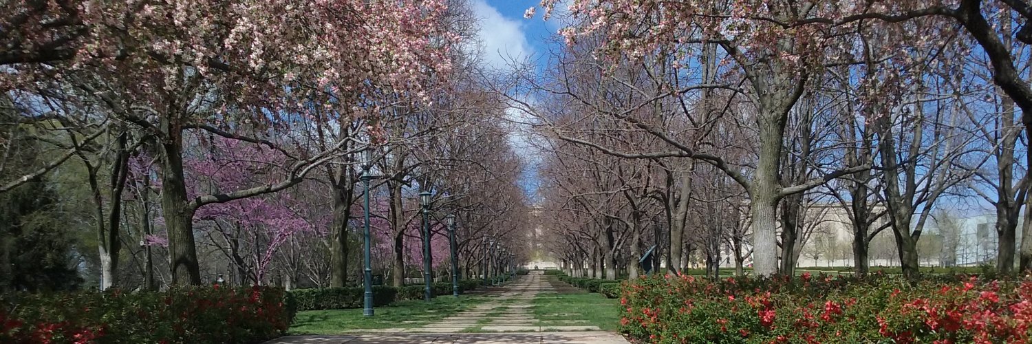 Mary🌙 🌔 banner