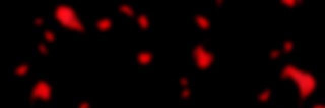G_RP__'s profile banner image