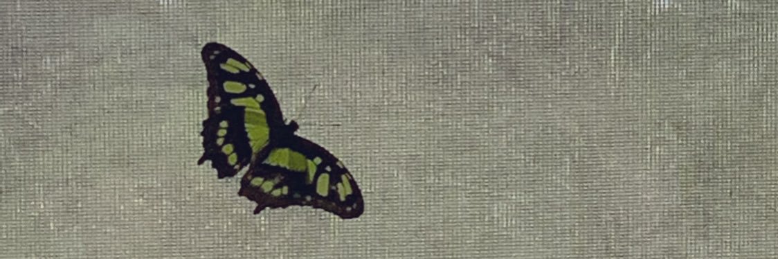 KendallDommel's profile banner image