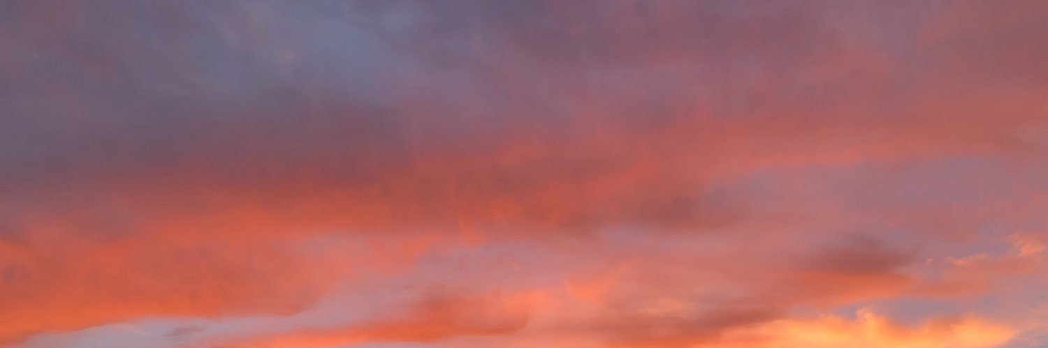 taylrmcgee's profile banner image