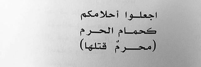 nahed_d's profile banner image