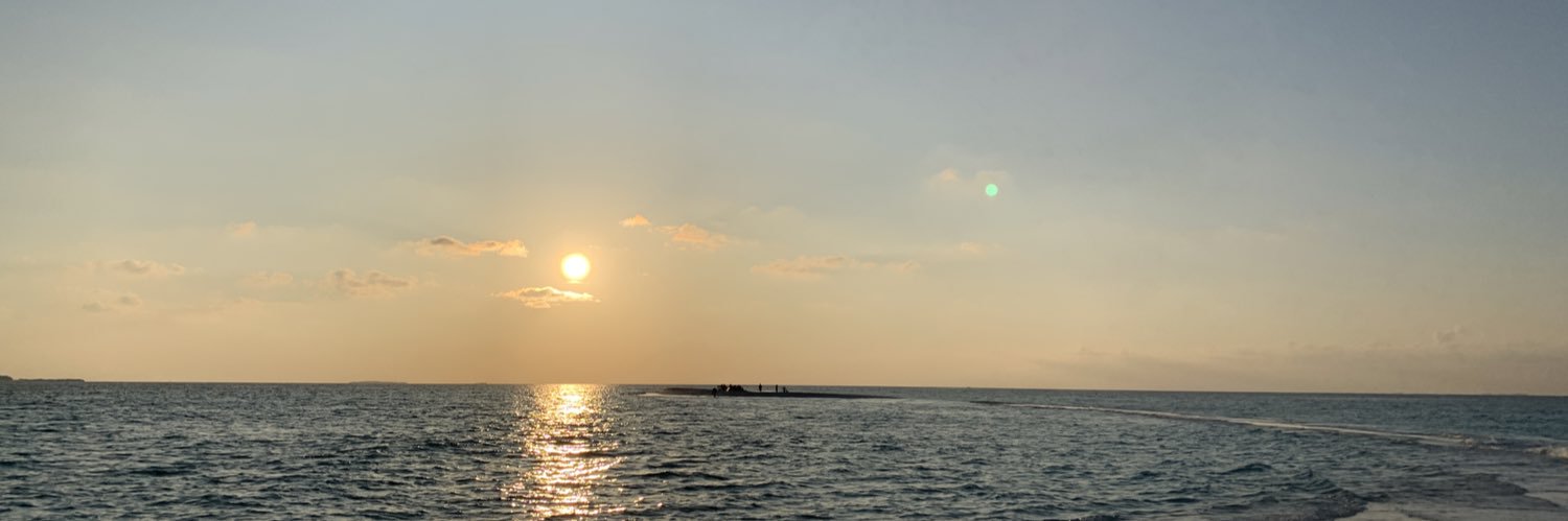 pdtrixs's profile banner image