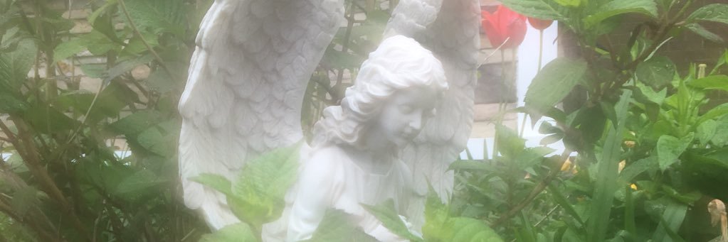 mrodes75's profile banner image