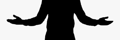 Totally Credible banner