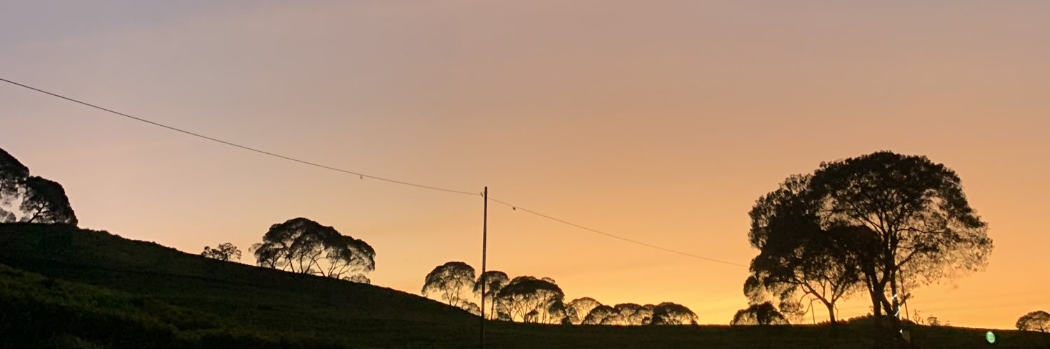 alliceice's profile banner image