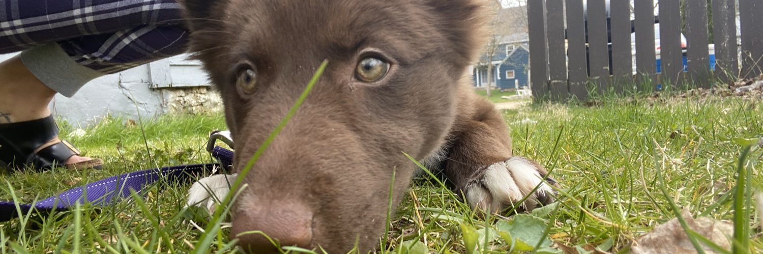 jennajean9's profile banner image