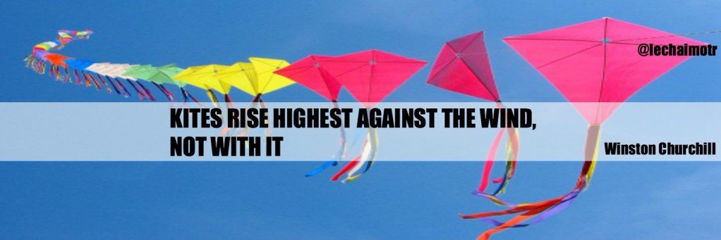 Lisa Mather banner