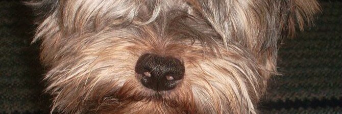 martamagro5's profile banner image