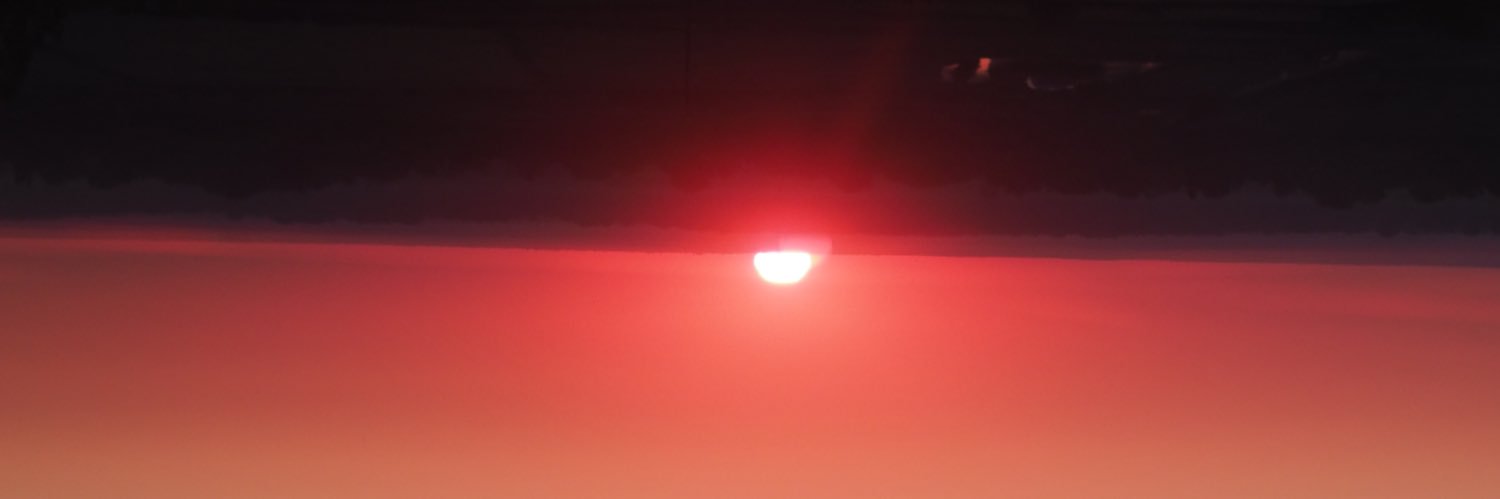 Mikela R💻✨ banner