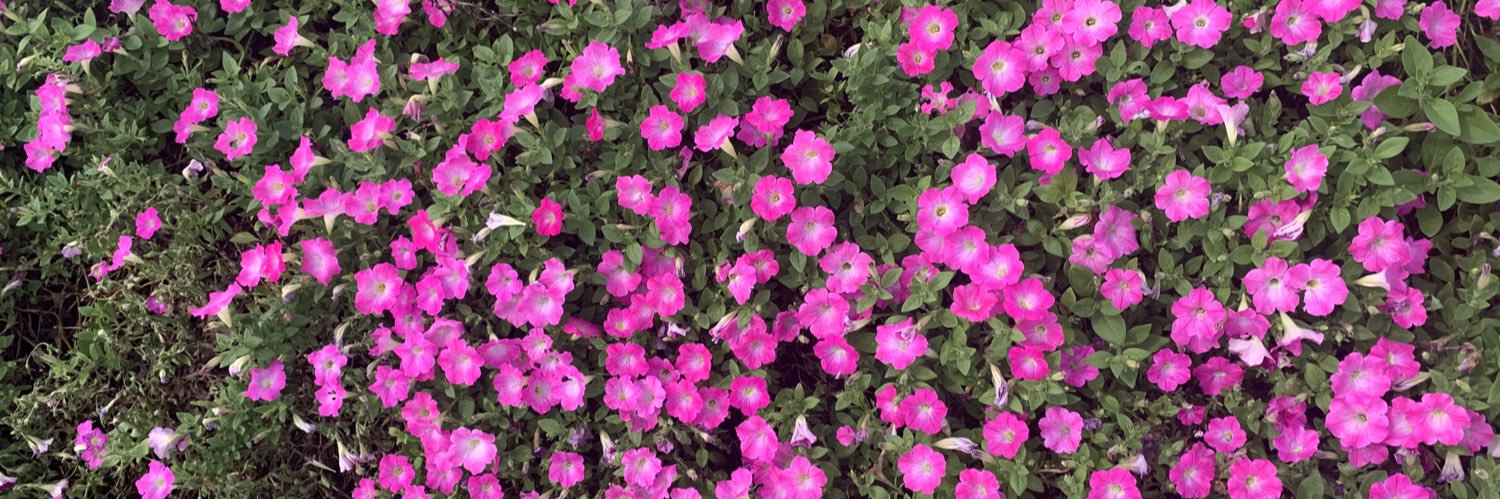 s0527rj's profile banner image