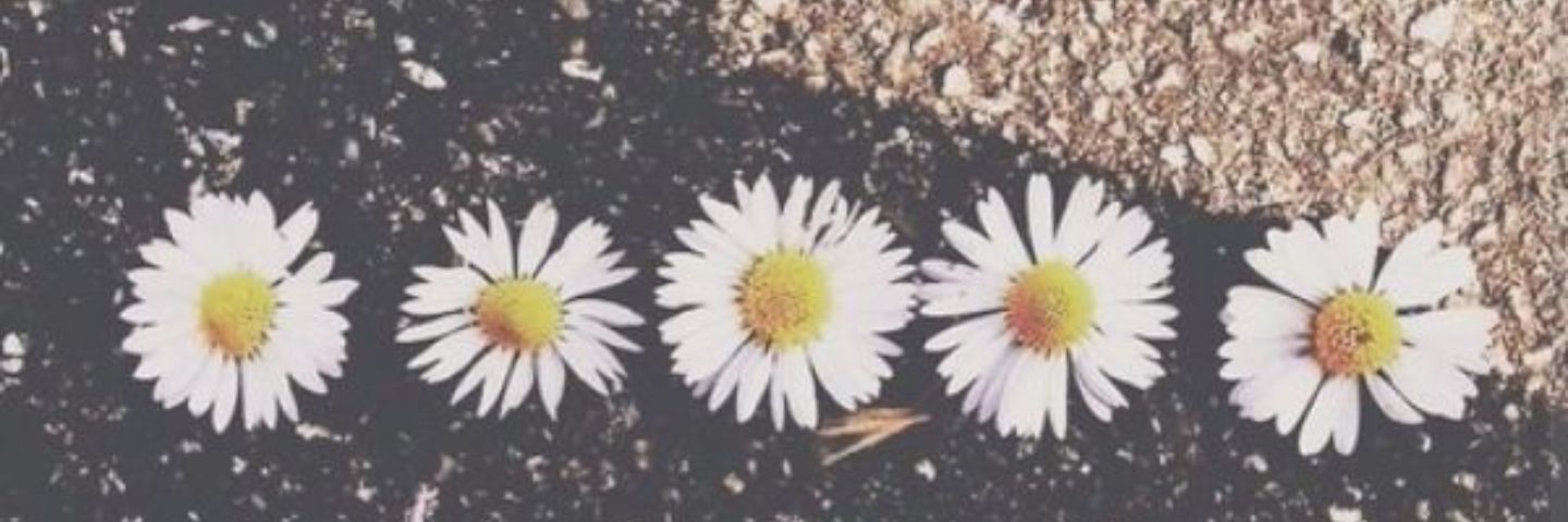 enmsc1997's profile banner image